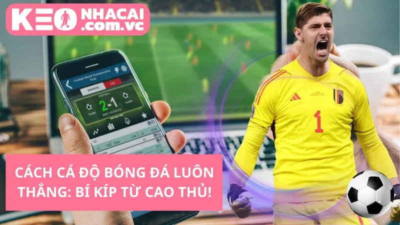 Cách Cá Độ Bóng Đá Luôn Thắng: Bí Kíp Từ Cao Thủ!
