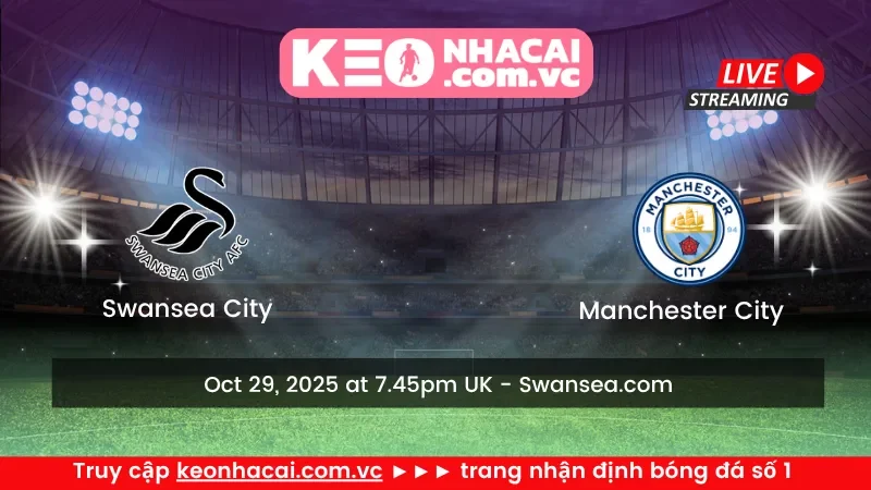 Swansea City vs Manchester City